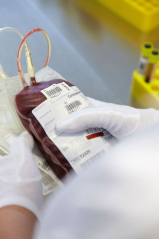 DRK-Blutspendetermin am Montag, 04. Juli 2022 in der Löhnberger Lilie
